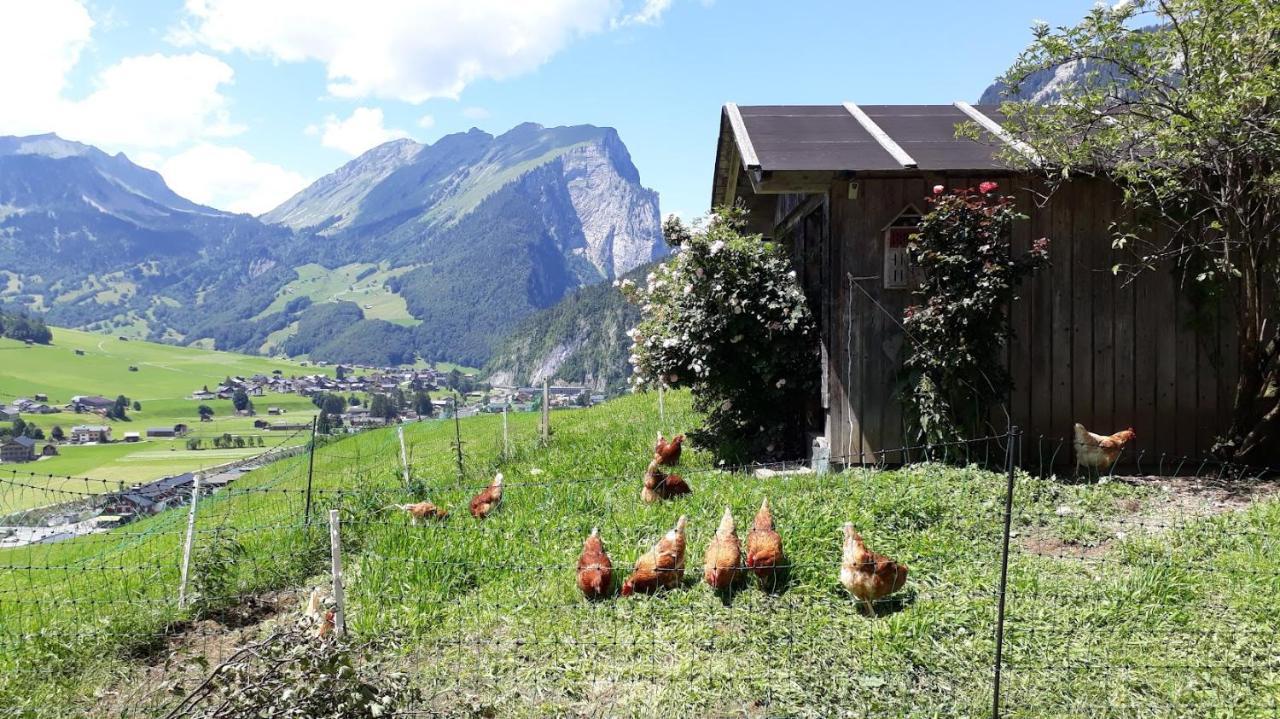 Fernblick Fruehstueckspension Schoppernau Esterno foto