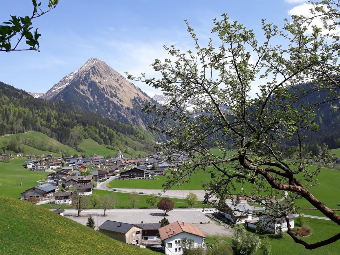 Fernblick Fruehstueckspension Schoppernau Esterno foto