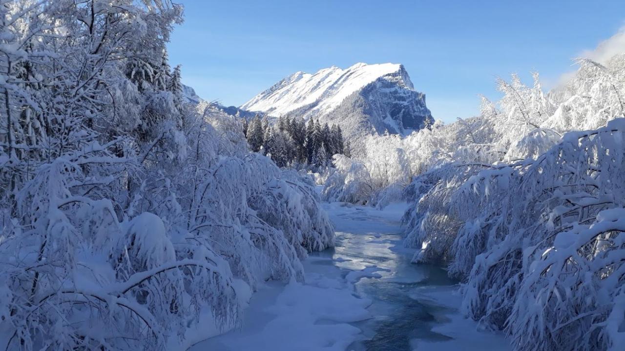 Fernblick Fruehstueckspension Schoppernau Esterno foto