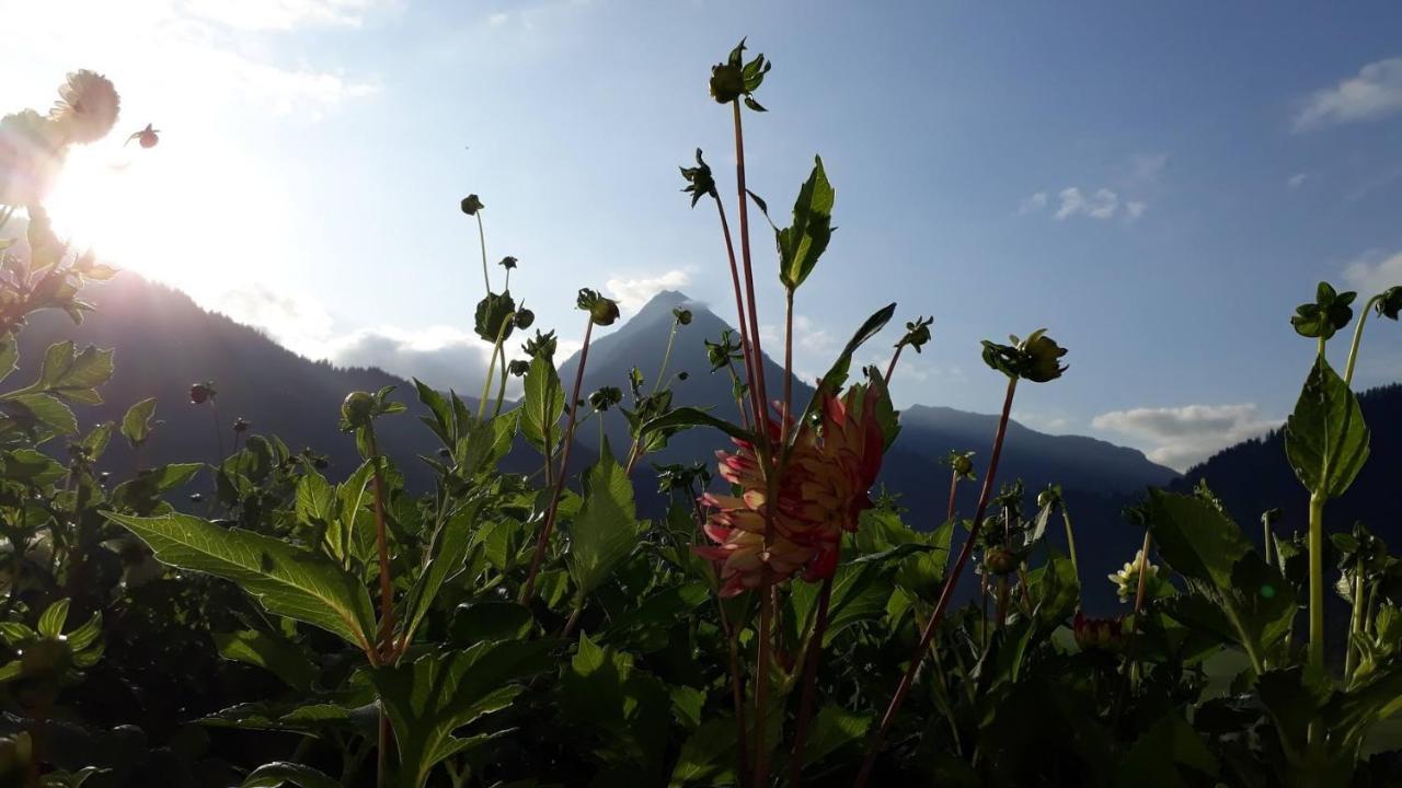 Fernblick Fruehstueckspension Schoppernau Esterno foto