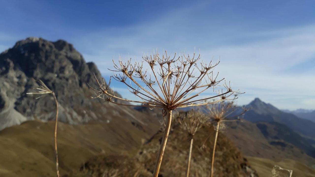 Fernblick Fruehstueckspension Schoppernau Esterno foto
